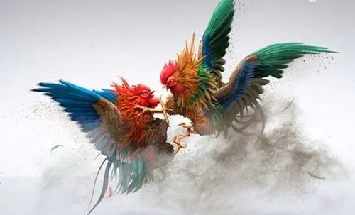 Giới thiệu đôi nét về tựa game Game Đá Gà Xoso66 Giới thiệu đôi nét về tựa game Game Đá Gà Xoso66