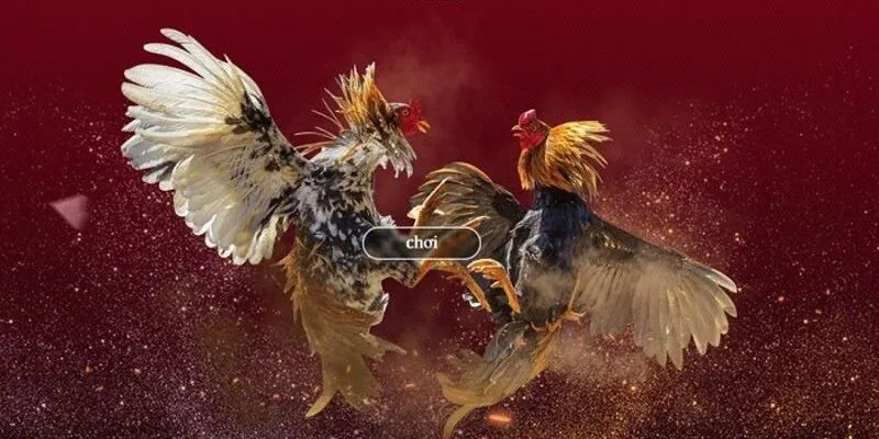 Không gian trò chơi chuyên nghiệp Không gian trò chơi chuyên nghiệp