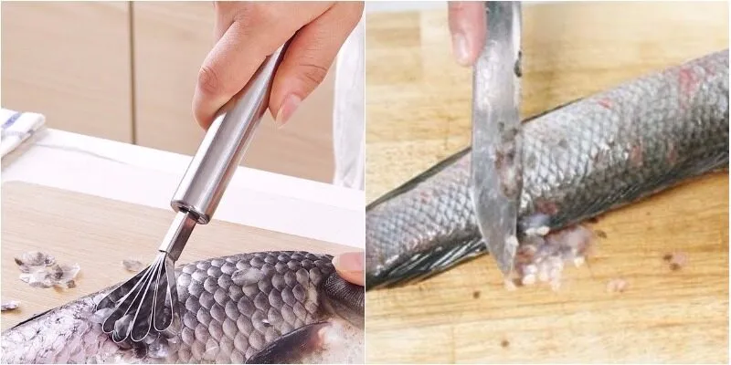 Nằm mơ về thấy đang bắt được con cá lóc đen Nằm mơ về thấy đang bắt được con cá lóc đen