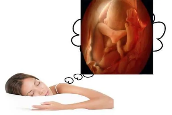 Mơ nhìn thấy về bà bầu Mơ nhìn thấy về bà bầu